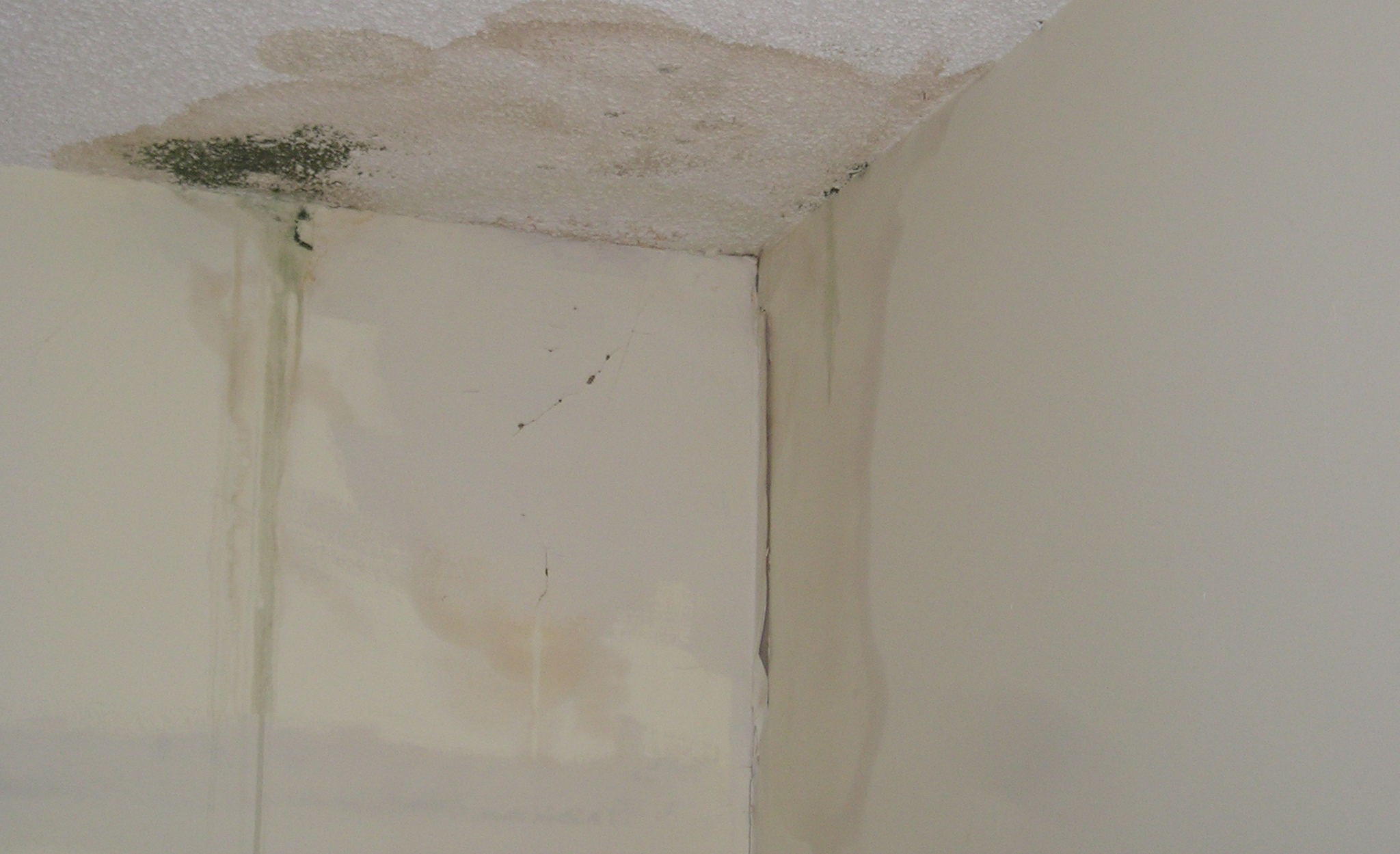 Emergency Roof Repairs Dublin